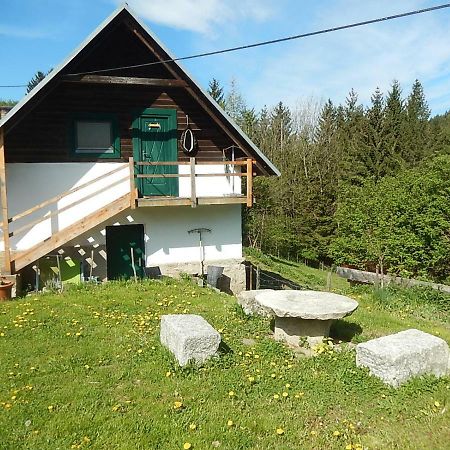 Ferienhaus Am Reitbauernhof Luckyranch Mellach  Exteriér fotografie