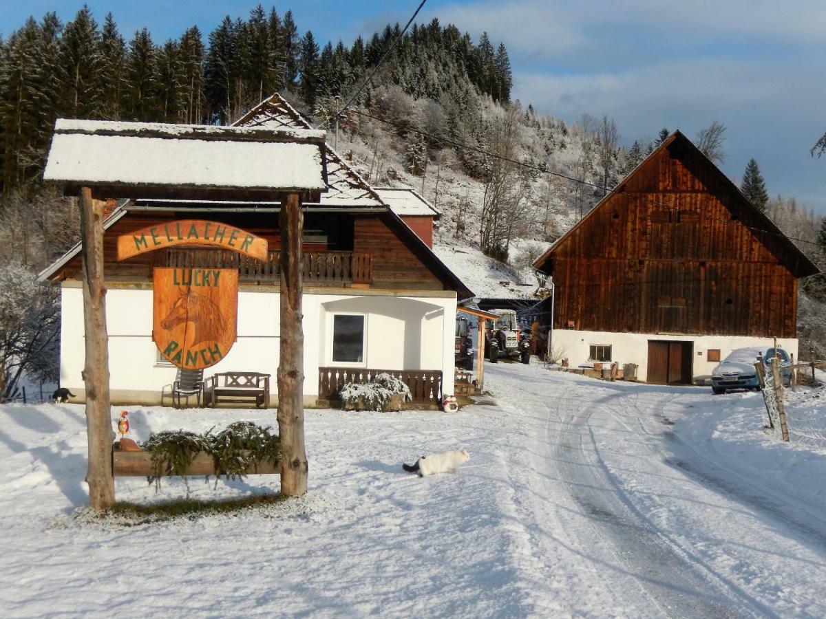 Ferienhaus Am Reitbauernhof Luckyranch Mellach  Exteriér fotografie
